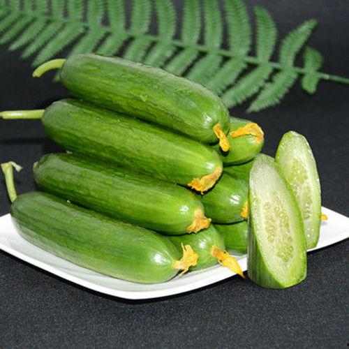 小能手爆料吃瓜